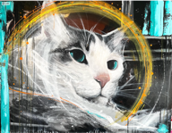 Coda - gatto acrilico - dipinto acrilici