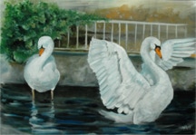 Cigni al lago - lake art - realistic paint
